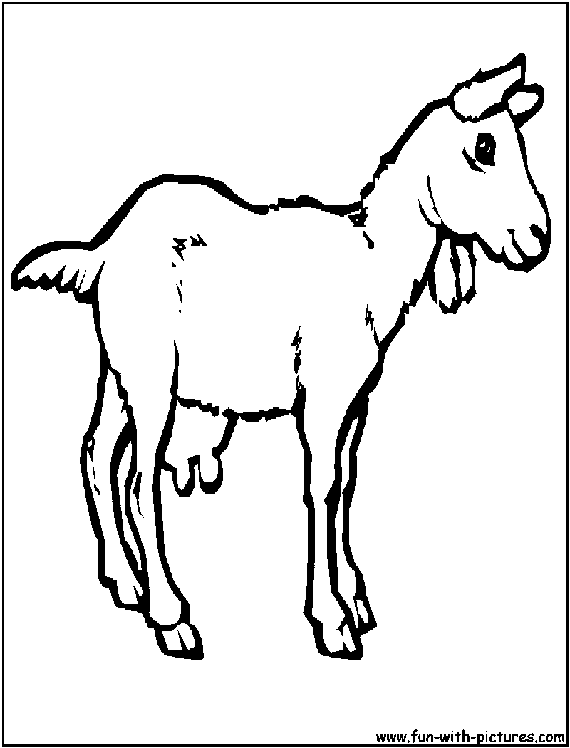 Dibujo para colorear: Cabra (Animales) #2422 - Dibujos para Colorear e Imprimir Gratis