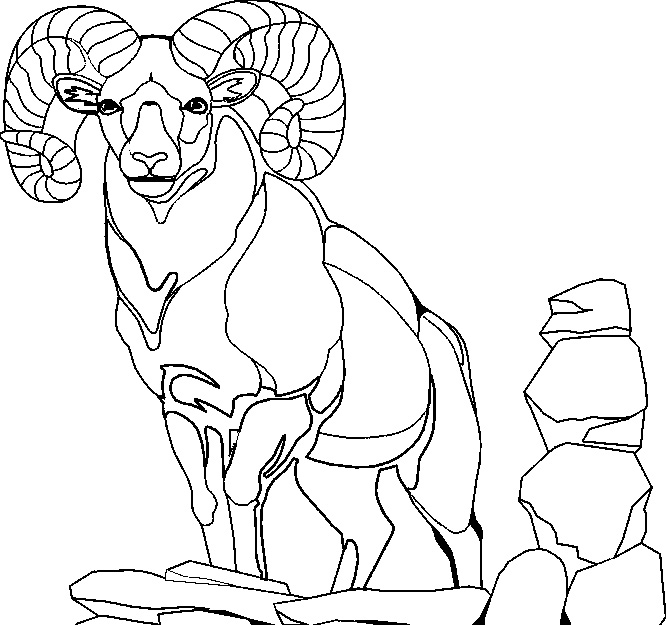 Dibujo para colorear: Cabra (Animales) #2448 - Dibujos para Colorear e Imprimir Gratis