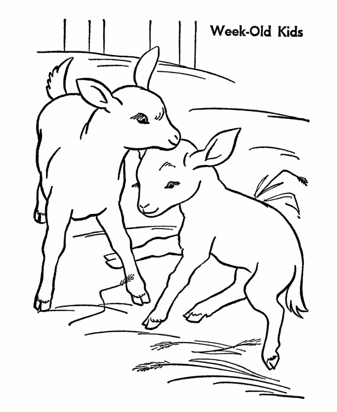 Dibujo para colorear: Cabra (Animales) #2518 - Dibujos para Colorear e Imprimir Gratis