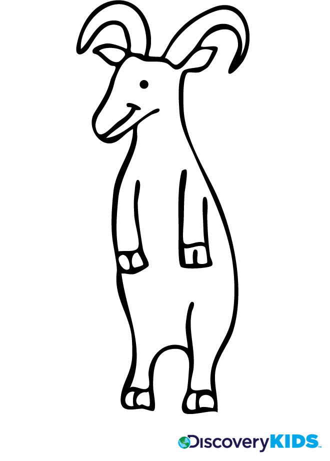 Dibujo para colorear: Cabra (Animales) #2519 - Dibujos para Colorear e Imprimir Gratis