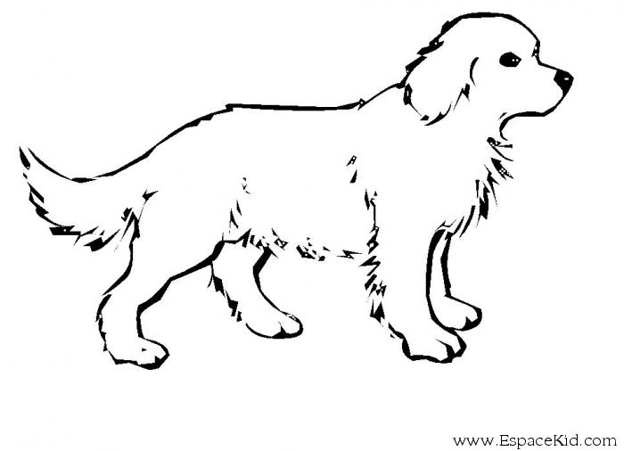 Dibujo para colorear: Cachorro (Animales) #2899 - Dibujos para Colorear e Imprimir Gratis