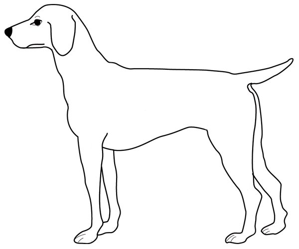 Dibujo para colorear: Cachorro (Animales) #2956 - Dibujos para Colorear e Imprimir Gratis
