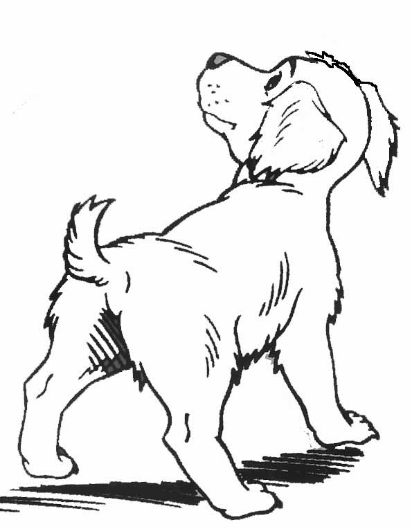 Dibujo para colorear: Cachorro (Animales) #2988 - Dibujos para Colorear e Imprimir Gratis