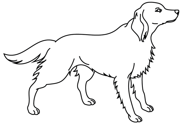 Dibujo para colorear: Cachorro (Animales) #2995 - Dibujos para Colorear e Imprimir Gratis