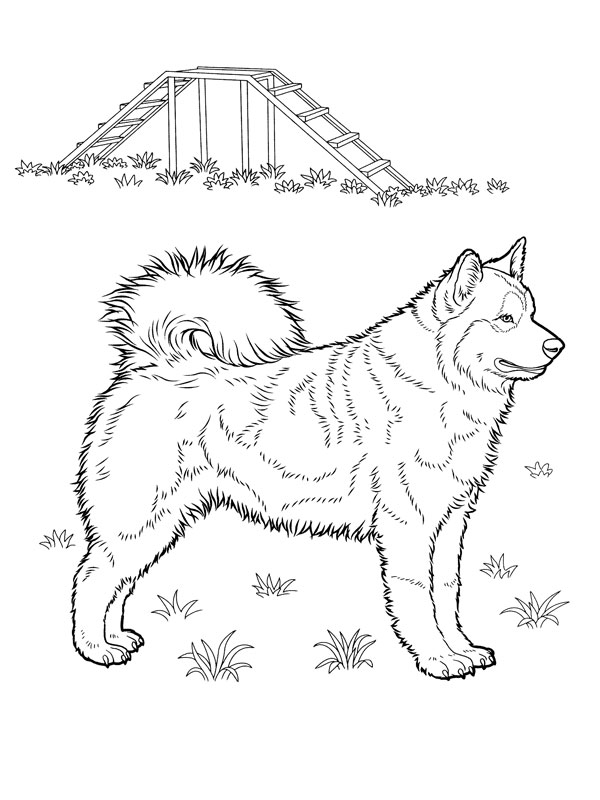 Dibujo para colorear: Cachorro (Animales) #3008 - Dibujos para Colorear e Imprimir Gratis