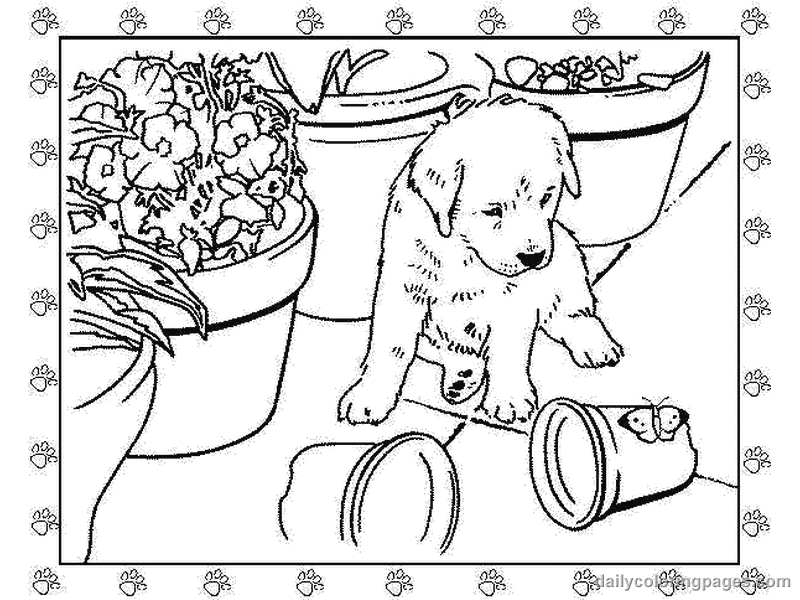 Dibujo para colorear: Cachorro (Animales) #3011 - Dibujos para Colorear e Imprimir Gratis