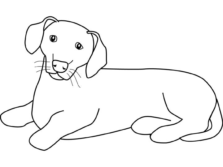 Dibujo para colorear: Cachorro (Animales) #3031 - Dibujos para Colorear e Imprimir Gratis
