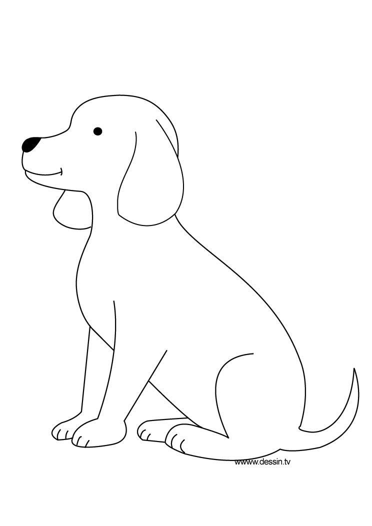 Dibujo para colorear: Cachorro (Animales) #3035 - Dibujos para Colorear e Imprimir Gratis