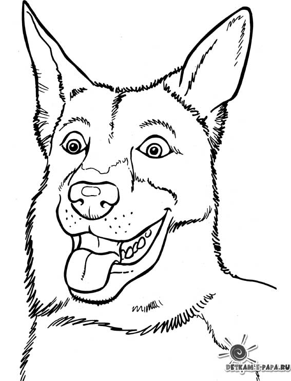 Dibujo para colorear: Cachorro (Animales) #3051 - Dibujos para Colorear e Imprimir Gratis