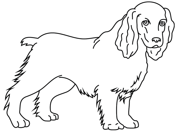 Dibujo para colorear: Cachorro (Animales) #3077 - Dibujos para Colorear e Imprimir Gratis