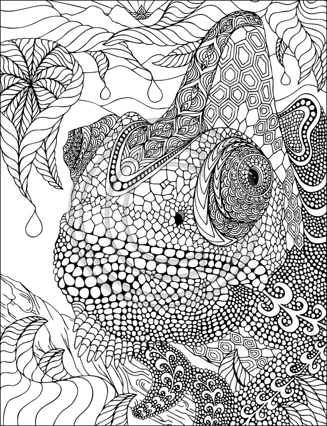 Dibujo para colorear: Camaleón (Animales) #1404 - Dibujos para Colorear e Imprimir Gratis