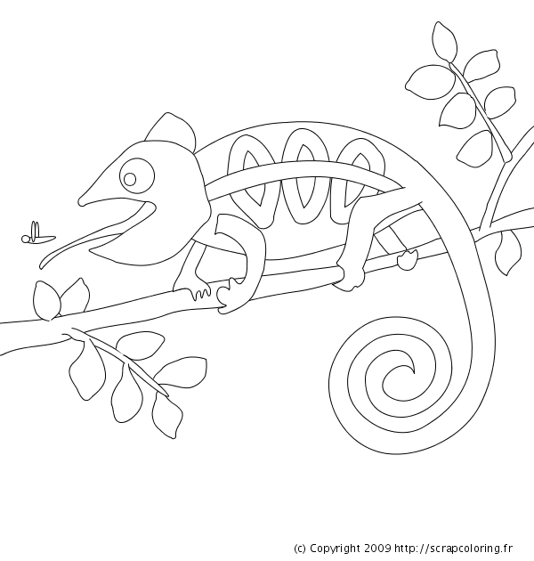 Dibujo para colorear: Camaleón (Animales) #1407 - Dibujos para Colorear e Imprimir Gratis