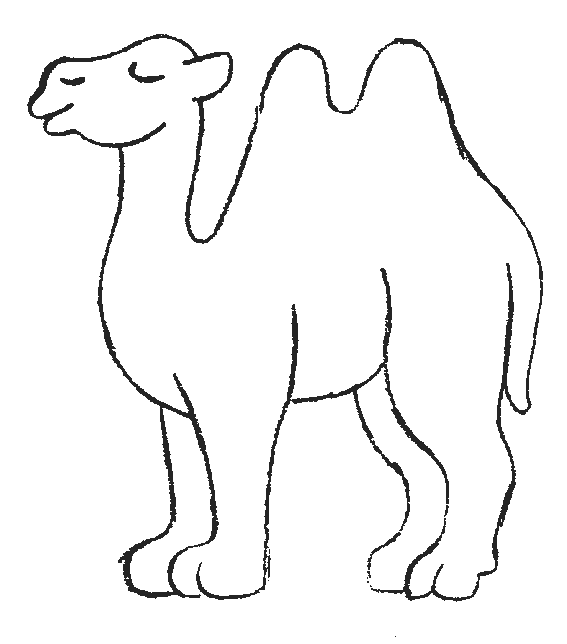 Dibujo para colorear: Camello (Animales) #1664 - Dibujos para Colorear e Imprimir Gratis