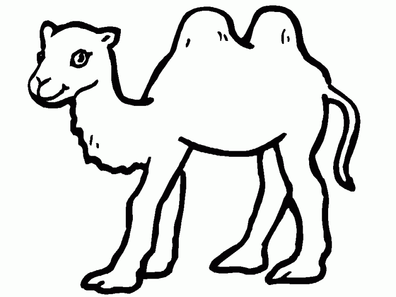 Dibujo para colorear: Camello (Animales) #1681 - Dibujos para Colorear e Imprimir Gratis