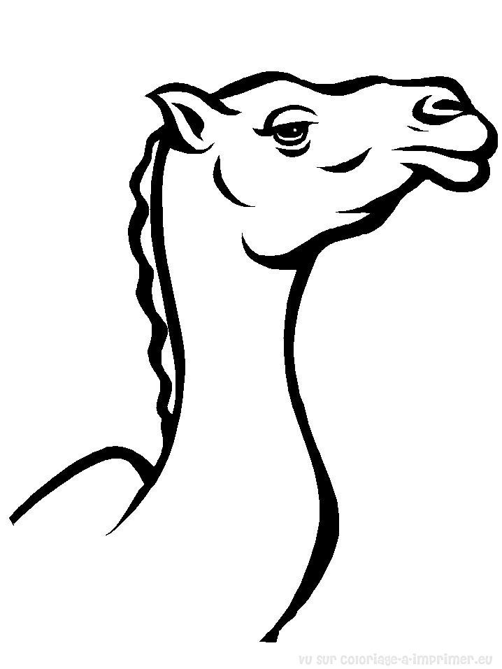 Dibujo para colorear: Camello (Animales) #1685 - Dibujos para Colorear e Imprimir Gratis