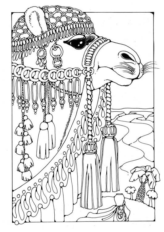 Dibujo para colorear: Camello (Animales) #1694 - Dibujos para Colorear e Imprimir Gratis