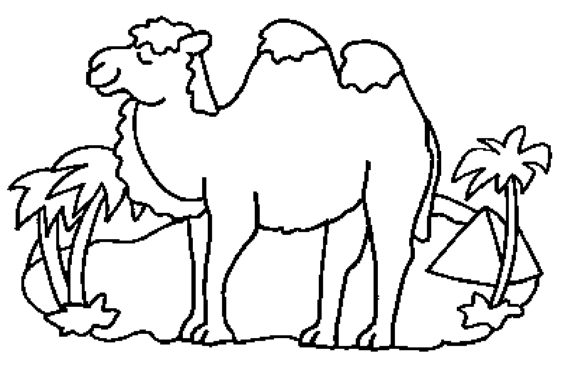 Dibujo para colorear: Camello (Animales) #1697 - Dibujos para Colorear e Imprimir Gratis
