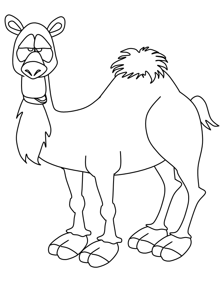 Dibujo para colorear: Camello (Animales) #1704 - Dibujos para Colorear e Imprimir Gratis