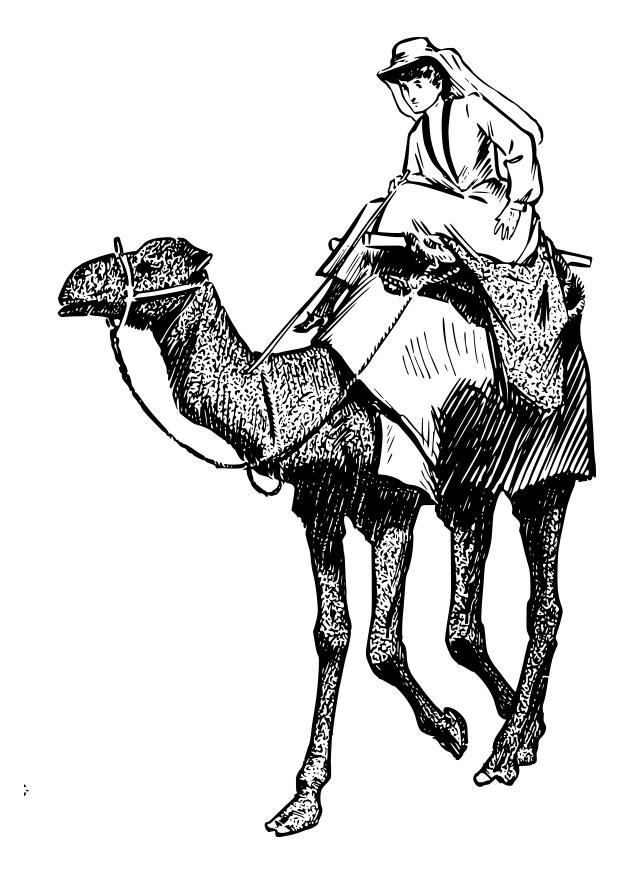 Dibujo para colorear: Camello (Animales) #1705 - Dibujos para Colorear e Imprimir Gratis