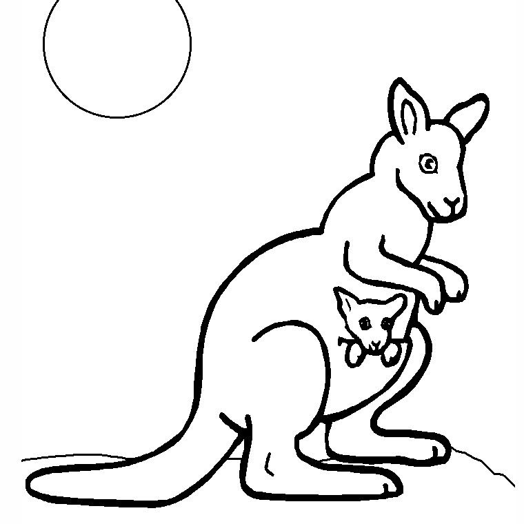 Dibujo para colorear: Canguro (Animales) #9104 - Dibujos para Colorear e Imprimir Gratis