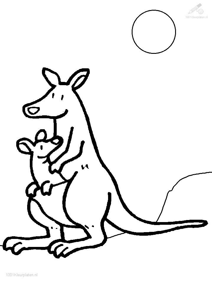 Dibujo para colorear: Canguro (Animales) #9107 - Dibujos para Colorear e Imprimir Gratis