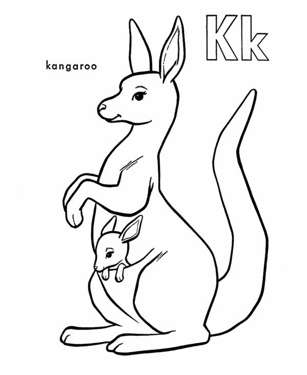 Dibujo para colorear: Canguro (Animales) #9122 - Dibujos para Colorear e Imprimir Gratis