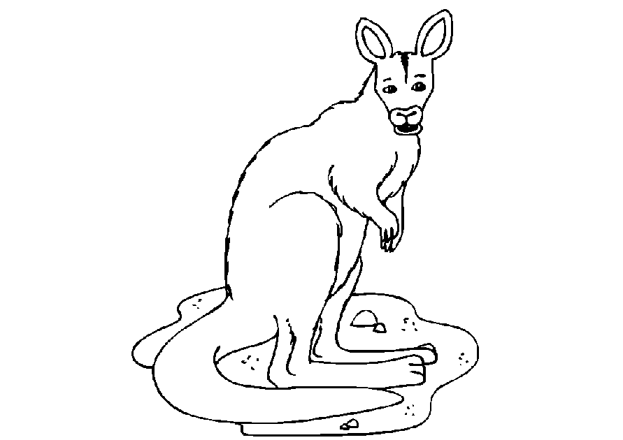 Dibujo para colorear: Canguro (Animales) #9184 - Dibujos para Colorear e Imprimir Gratis