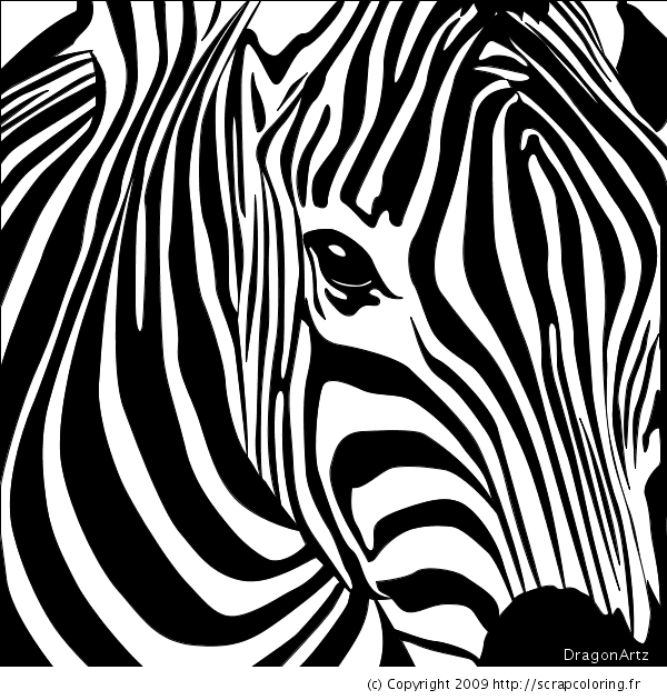 Dibujo para colorear: Cebra (Animales) #12965 - Dibujos para Colorear e Imprimir Gratis