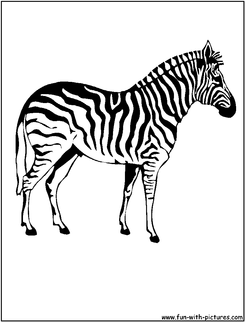 Dibujo para colorear: Cebra (Animales) #13037 - Dibujos para Colorear e Imprimir Gratis