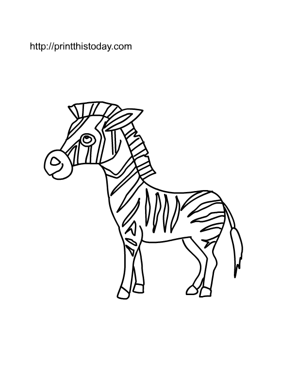 Dibujo para colorear: Cebra (Animales) #13049 - Dibujos para Colorear e Imprimir Gratis