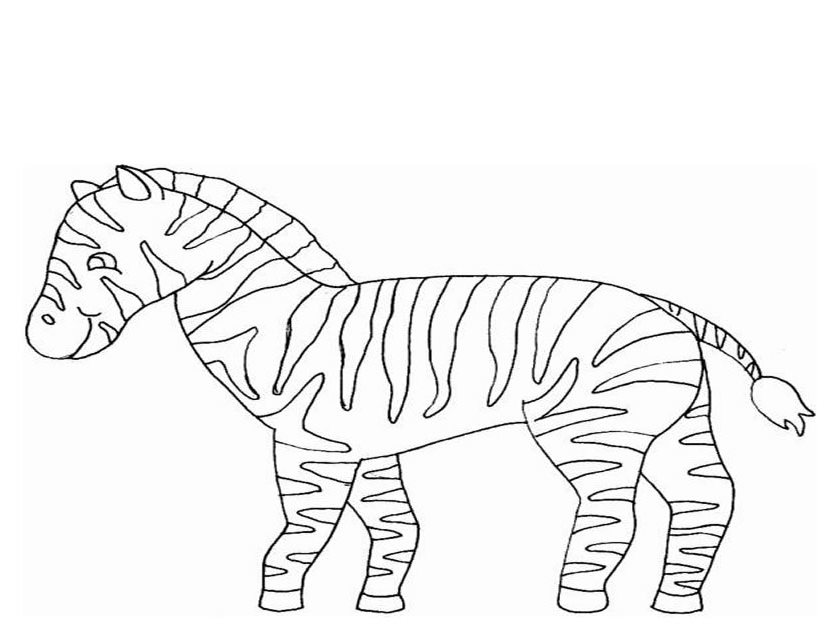 Dibujo para colorear: Cebra (Animales) #13065 - Dibujos para Colorear e Imprimir Gratis