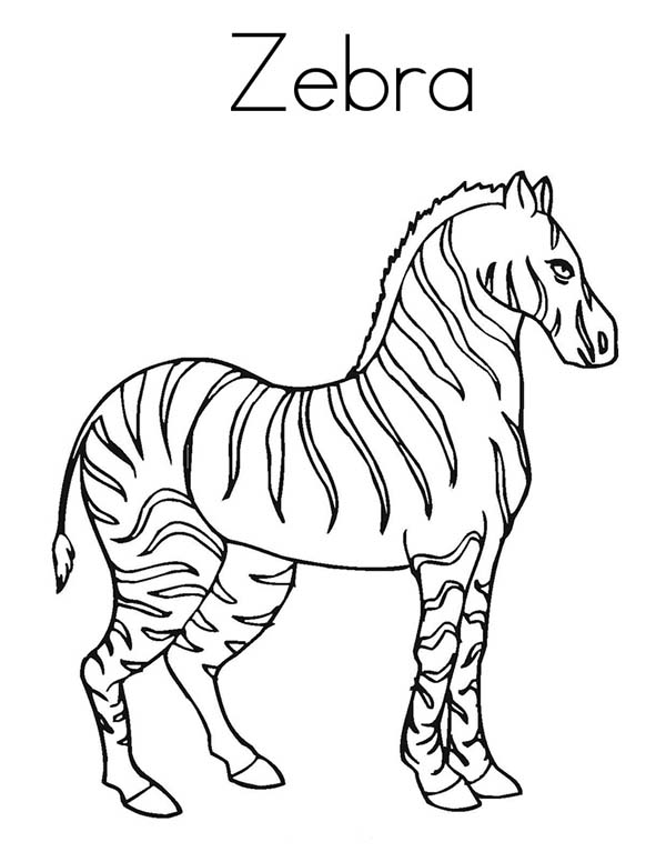Dibujo para colorear: Cebra (Animales) #13096 - Dibujos para Colorear e Imprimir Gratis