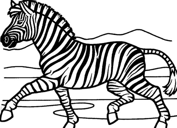 Dibujo para colorear: Cebra (Animales) #13120 - Dibujos para Colorear e Imprimir Gratis