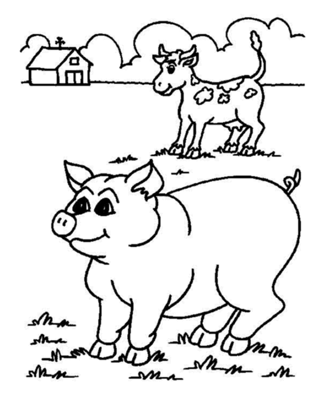 Dibujo para colorear: Cerdo (Animales) #3629 - Dibujos para Colorear e Imprimir Gratis