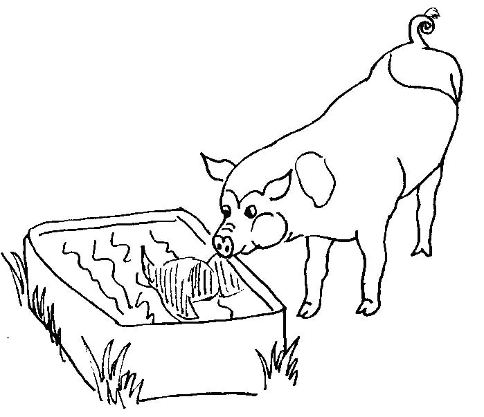 Dibujo para colorear: Cerdo (Animales) #3630 - Dibujos para Colorear e Imprimir Gratis