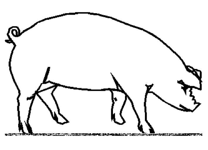 Dibujo para colorear: Cerdo (Animales) #3643 - Dibujos para Colorear e Imprimir Gratis