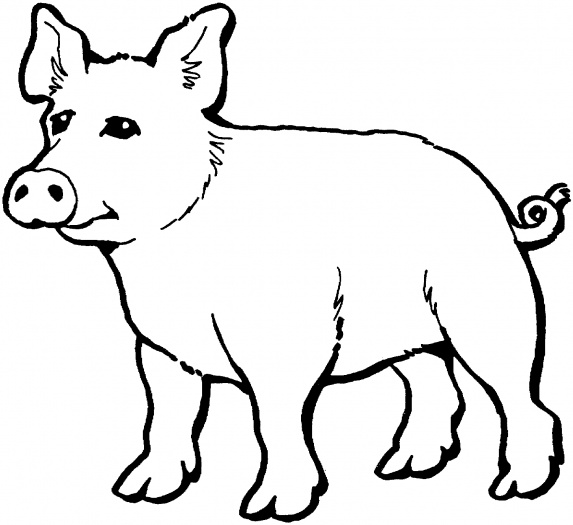 Dibujo para colorear: Cerdo (Animales) #3671 - Dibujos para Colorear e Imprimir Gratis