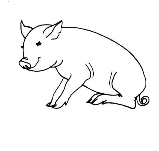 Dibujo para colorear: Cerdo (Animales) #3744 - Dibujos para Colorear e Imprimir Gratis
