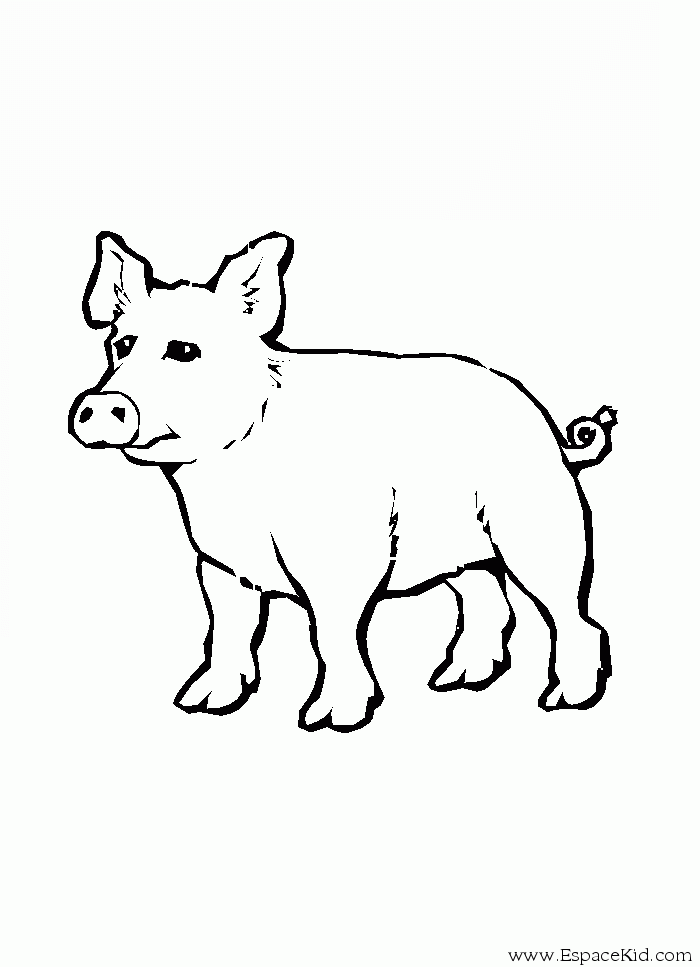 Dibujo para colorear: Cerdo (Animales) #3765 - Dibujos para Colorear e Imprimir Gratis