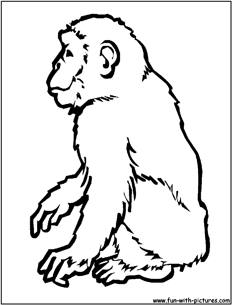 Dibujo para colorear: Chimpancé (Animales) #2794 - Dibujos para Colorear e Imprimir Gratis