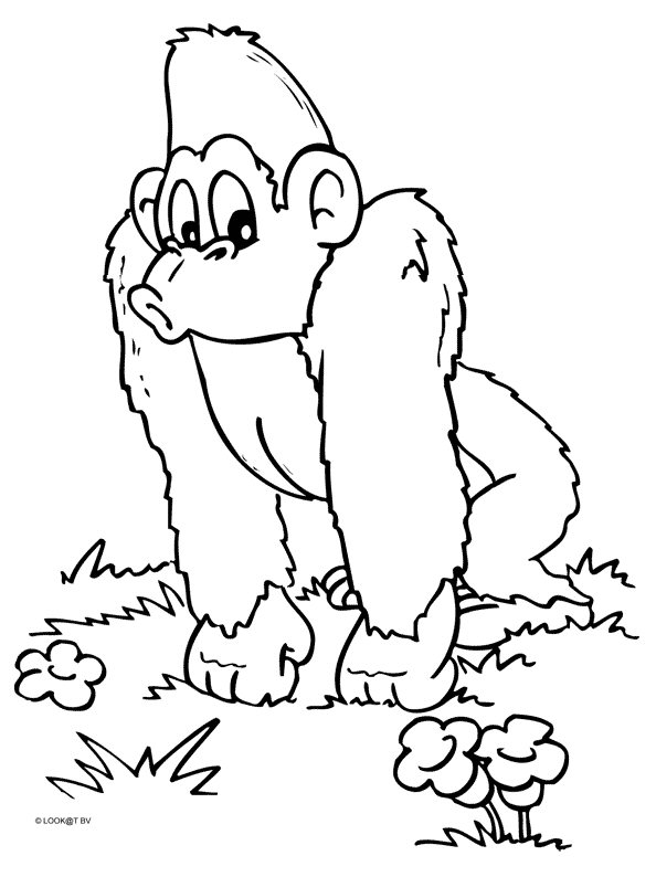 Dibujo para colorear: Chimpancé (Animales) #2826 - Dibujos para Colorear e Imprimir Gratis