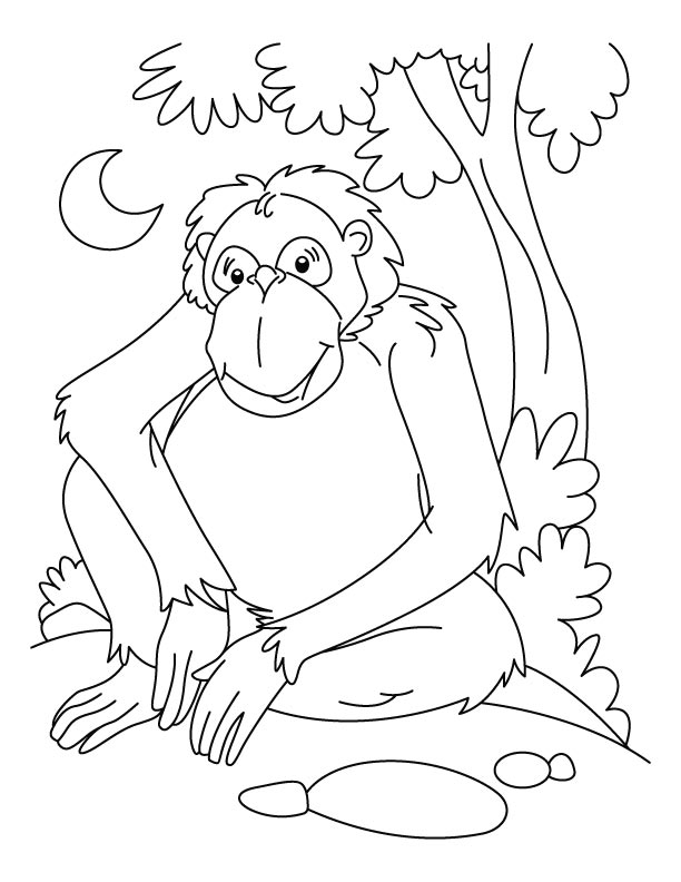 Dibujo para colorear: Chimpancé (Animales) #2827 - Dibujos para Colorear e Imprimir Gratis