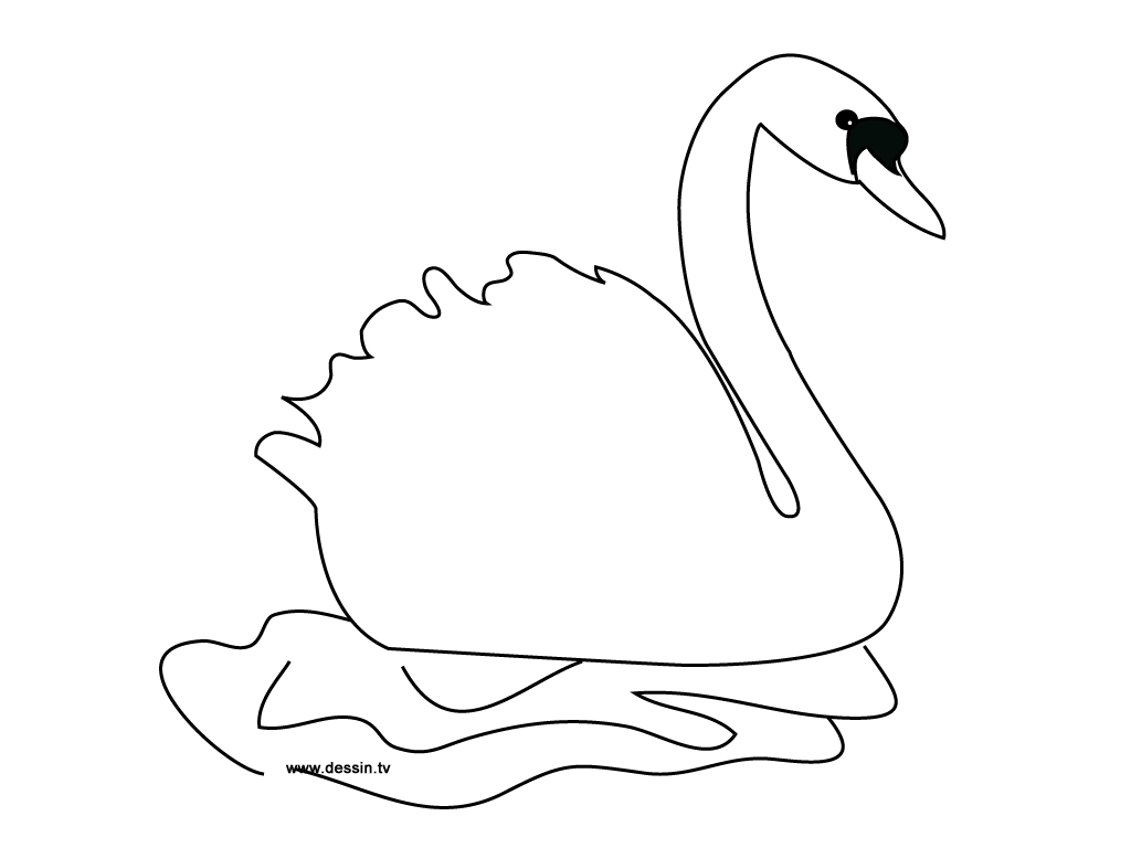 Dibujo para colorear: Cisne (Animales) #4996 - Dibujos para Colorear e Imprimir Gratis