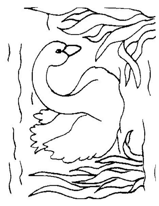 Dibujo para colorear: Cisne (Animales) #5009 - Dibujos para Colorear e Imprimir Gratis