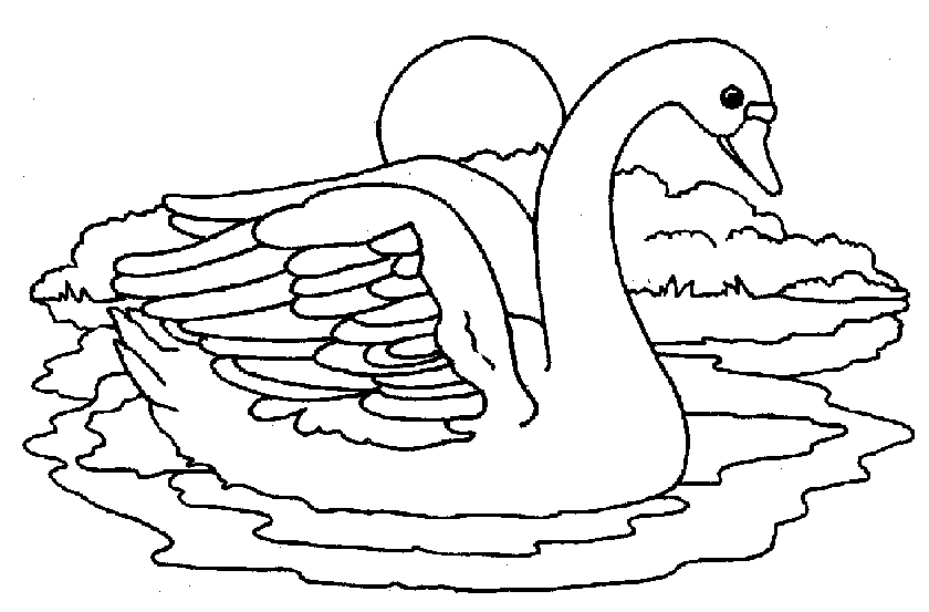 Dibujo para colorear: Cisne (Animales) #5014 - Dibujos para Colorear e Imprimir Gratis