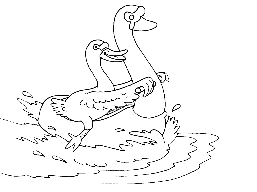 Dibujo para colorear: Cisne (Animales) #5023 - Dibujos para Colorear e Imprimir Gratis