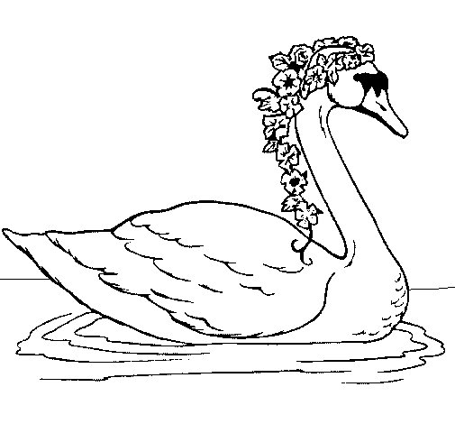 Dibujo para colorear: Cisne (Animales) #5026 - Dibujos para Colorear e Imprimir Gratis