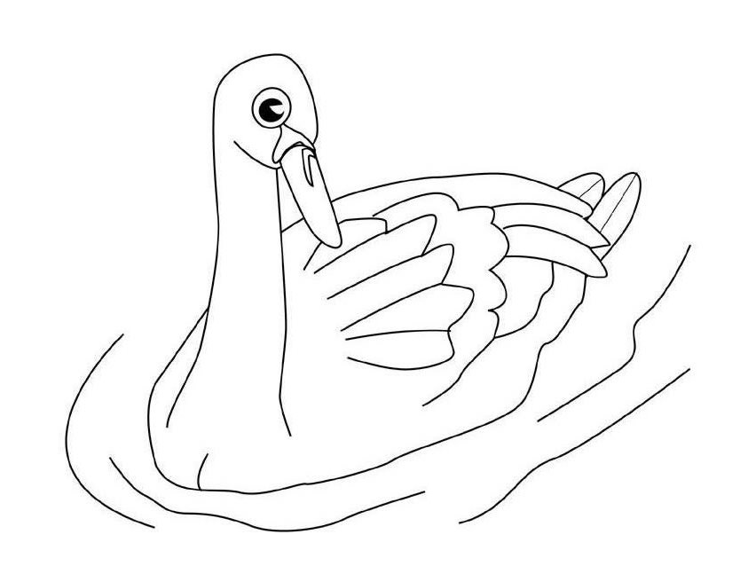 Dibujo para colorear: Cisne (Animales) #5029 - Dibujos para Colorear e Imprimir Gratis