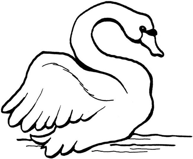 Dibujo para colorear: Cisne (Animales) #5033 - Dibujos para Colorear e Imprimir Gratis