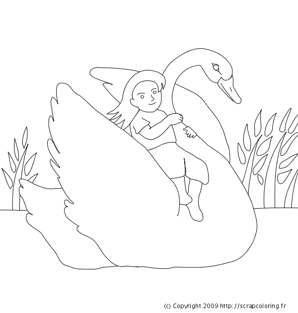 Dibujo para colorear: Cisne (Animales) #5057 - Dibujos para Colorear e Imprimir Gratis